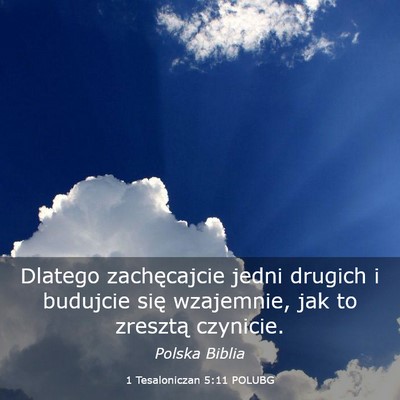 Picture 03 - 1 Tesaloniczan 5:11 POLUBG - Dlatego zachęcajcie jedni drugich i budujcie - Bible Verse Picture
