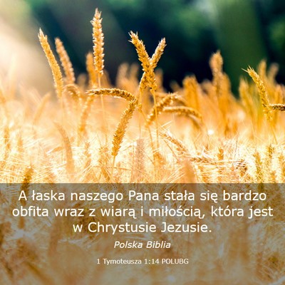 Picture 03 - 1 Tymoteusza 1:14 POLUBG - A łaska naszego Pana stała się bardzo obfita - Bible Verse Picture