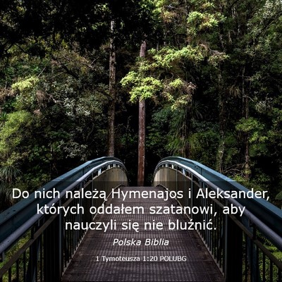 Picture 03 - 1 Tymoteusza 1:20 POLUBG - Do nich należą Hymenajos i Aleksander, których - Bible Verse Picture