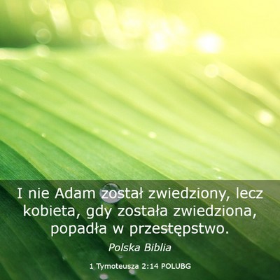 Picture 03 - 1 Tymoteusza 2:14 POLUBG - I nie Adam został zwiedziony, lecz kobieta, gdy - Bible Verse Picture