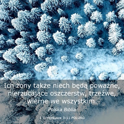 Picture 03 - 1 Tymoteusza 3:11 POLUBG - Ich żony także niech będą poważne, - Bible Verse Picture