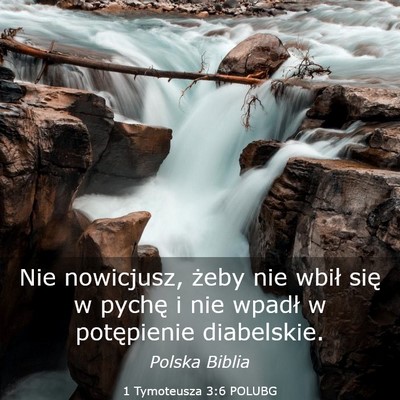 Picture 03 - 1 Tymoteusza 3:6 POLUBG - Nie nowicjusz, żeby nie wbił się w pychę i - Bible Verse Picture