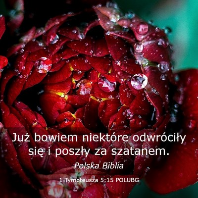 Picture 03 - 1 Tymoteusza 5:15 POLUBG - Już bowiem niektóre odwróciły się i poszły - Bible Verse Picture