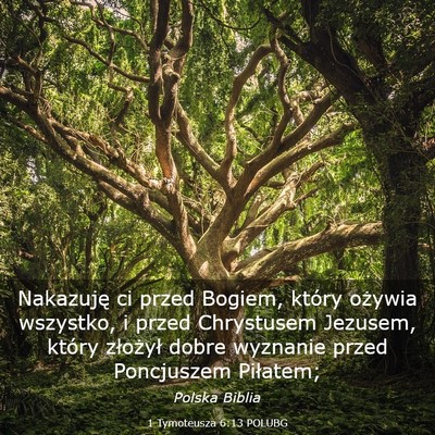 Picture 03 - 1 Tymoteusza 6:13 POLUBG - Nakazuję ci przed Bogiem, który ożywia - Bible Verse Picture