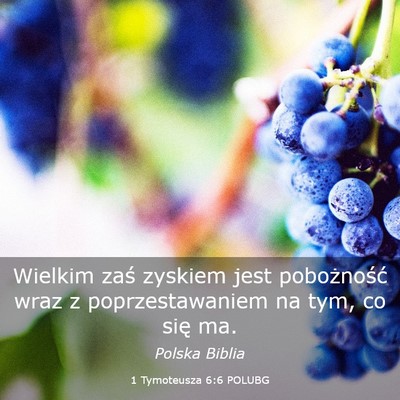 Picture 03 - 1 Tymoteusza 6:6 POLUBG - Wielkim zaś zyskiem jest pobożność wraz z - Bible Verse Picture