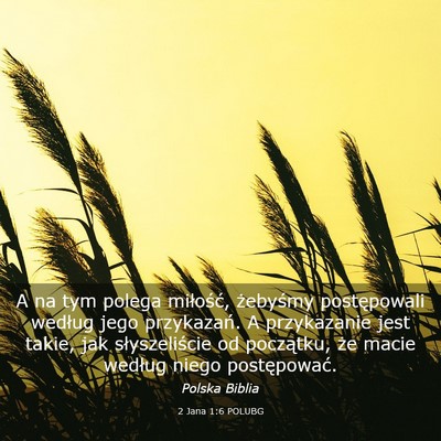 Picture 03 - 2 Jana 1:6 POLUBG - A na tym polega miłość, żebyśmy postępowali - Bible Verse Picture