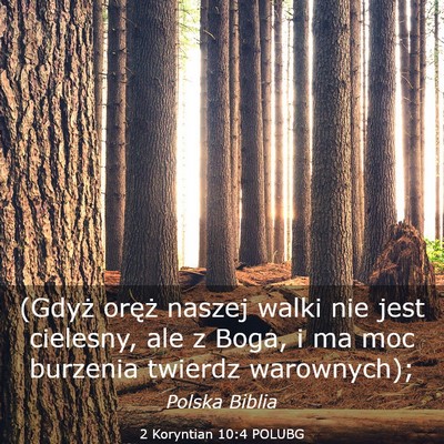 Picture 03 - 2 Koryntian 10:4 POLUBG - (Gdyż oręż naszej walki nie jest cielesny, ale - Bible Verse Picture