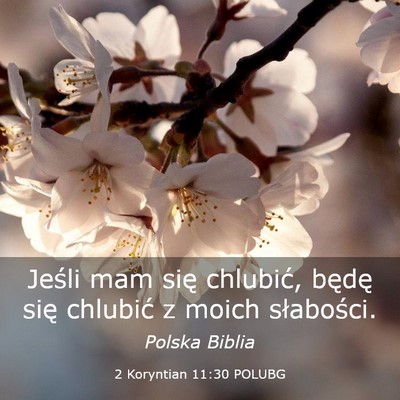 Picture 03 - 2 Koryntian 11:30 POLUBG - Jeśli mam się chlubić, będę się chlubić z - Bible Verse Picture
