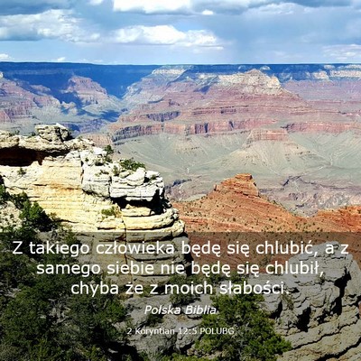 Picture 03 - 2 Koryntian 12:5 POLUBG - Z takiego człowieka będę się chlubić, a z - Bible Verse Picture