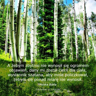 Picture 03 - 2 Koryntian 12:7 POLUBG - A żebym zbytnio nie wynosił się ogromem - Bible Verse Picture
