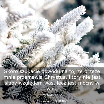 Picture 03 - 2 Koryntian 13:3 POLUBG - Skoro szukacie dowodu na to, że przeze mnie - Bible Verse Picture