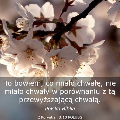 Picture 03 - 2 Koryntian 3:10 POLUBG - To bowiem, co miało chwałę, nie miało chwały - Bible Verse Picture