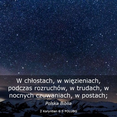 Picture 03 - 2 Koryntian 6:5 POLUBG - W chłostach, w więzieniach, podczas rozruchów, - Bible Verse Picture