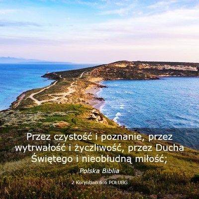 Picture 03 - 2 Koryntian 6:6 POLUBG - Przez czystość i poznanie, przez wytrwałość - Bible Verse Picture
