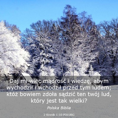 Picture 03 - 2 Kronik 1:10 POLUBG - Daj mi więc mądrość i wiedzę, abym - Bible Verse Picture