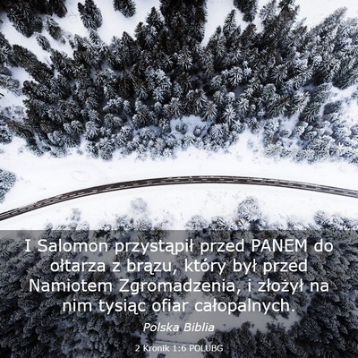 Picture 03 - 2 Kronik 1:6 POLUBG - I Salomon przystąpił przed PANEM do ołtarza z - Bible Verse Picture