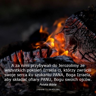 Picture 03 - 2 Kronik 11:16 POLUBG - A za nimi przybywali do Jerozolimy ze wszystkich - Bible Verse Picture