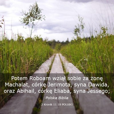 Picture 03 - 2 Kronik 11:18 POLUBG - Potem Roboam wziął sobie za żonę Machalat, - Bible Verse Picture