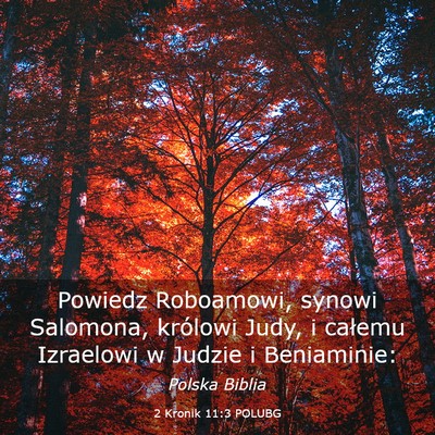 Picture 03 - 2 Kronik 11:3 POLUBG - Powiedz Roboamowi, synowi Salomona, królowi - Bible Verse Picture