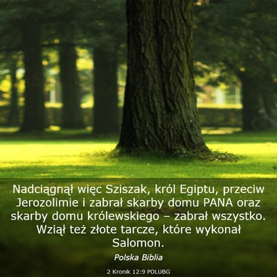 Picture 03 - 2 Kronik 12:9 POLUBG - Nadciągnął więc Sziszak, król Egiptu, - Bible Verse Picture
