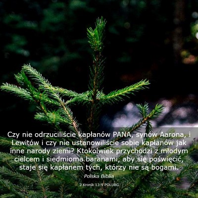 Picture 03 - 2 Kronik 13:9 POLUBG - Czy nie odrzuciliście kapłanów PANA, synów - Bible Verse Picture