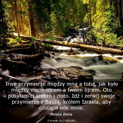 Picture 03 - 2 Kronik 16:3 POLUBG - Trwa przymierze między mną a tobą, jak było - Bible Verse Picture