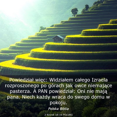 Picture 03 - 2 Kronik 18:16 POLUBG - Powiedział więc: Widziałem całego Izraela - Bible Verse Picture