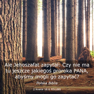 Picture 03 - 2 Kronik 18:6 POLUBG - Ale Jehoszafat zapytał: Czy nie ma tu jeszcze - Bible Verse Picture