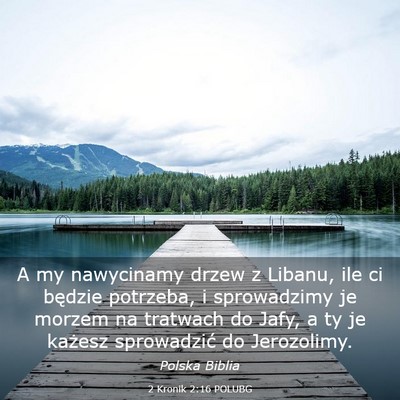 Picture 03 - 2 Kronik 2:16 POLUBG - A my nawycinamy drzew z Libanu, ile ci będzie - Bible Verse Picture