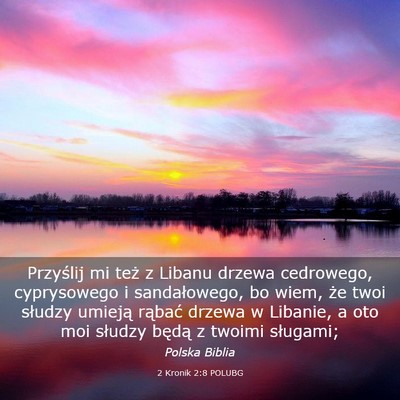 Picture 03 - 2 Kronik 2:8 POLUBG - Przyślij mi też z Libanu drzewa cedrowego, - Bible Verse Picture