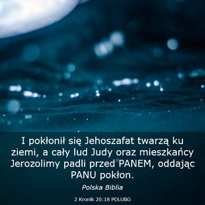 Picture 03 - 2 Kronik 20:18 POLUBG - I pokłonił się Jehoszafat twarzą ku ziemi, a - Bible Verse Picture