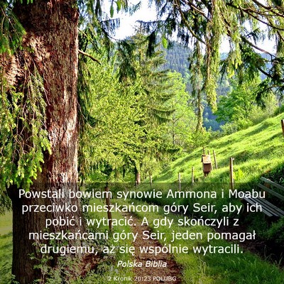 Picture 03 - 2 Kronik 20:23 POLUBG - Powstali bowiem synowie Ammona i Moabu przeciwko - Bible Verse Picture