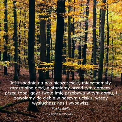 Picture 03 - 2 Kronik 20:9 POLUBG - Jeśli spadnie na nas nieszczęście, miecz - Bible Verse Picture