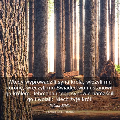 Picture 03 - 2 Kronik 23:11 POLUBG - Wtedy wyprowadzili syna króla, włożyli mu - Bible Verse Picture