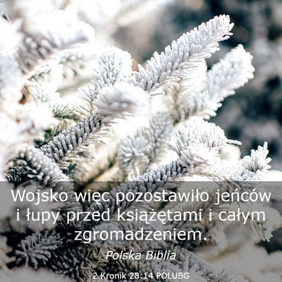 Picture 03 - 2 Kronik 28:14 POLUBG - Wojsko więc pozostawiło jeńców i łupy przed - Bible Verse Picture