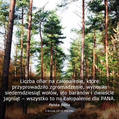 Picture 03 - 2 Kronik 29:32 POLUBG - Liczba ofiar na całopalenie, które - Bible Verse Picture