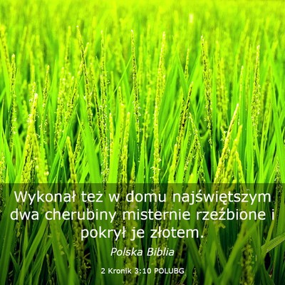 Picture 03 - 2 Kronik 3:10 POLUBG - Wykonał też w domu najświętszym dwa cherubiny - Bible Verse Picture