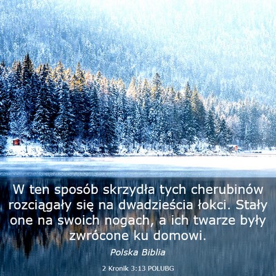 Picture 03 - 2 Kronik 3:13 POLUBG - W ten sposób skrzydła tych cherubinów - Bible Verse Picture