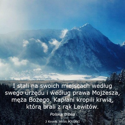 Picture 03 - 2 Kronik 30:16 POLUBG - I stali na swoich miejscach według swego urzędu - Bible Verse Picture