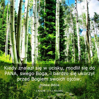 Picture 03 - 2 Kronik 33:12 POLUBG - Kiedy znalazł się w ucisku, modlił się do - Bible Verse Picture
