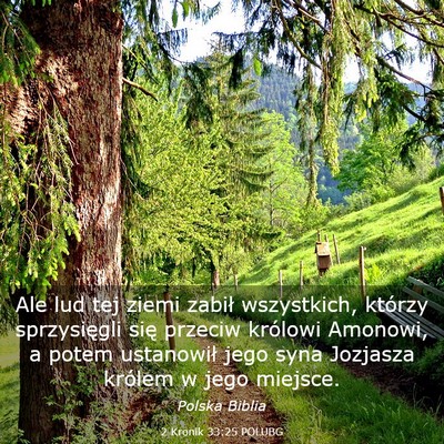 Picture 03 - 2 Kronik 33:25 POLUBG - Ale lud tej ziemi zabił wszystkich, którzy - Bible Verse Picture