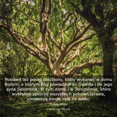 Picture 03 - 2 Kronik 33:7 POLUBG - Postawił też posąg rzeźbiony, który - Bible Verse Picture
