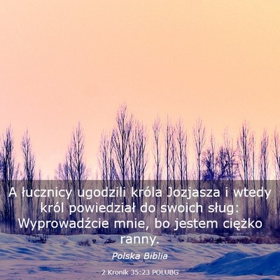Picture 03 - 2 Kronik 35:23 POLUBG - A łucznicy ugodzili króla Jozjasza i wtedy - Bible Verse Picture