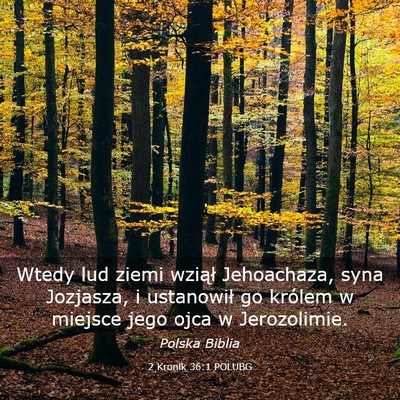 Picture 03 - 2 Kronik 36:1 POLUBG - Wtedy lud ziemi wziął Jehoachaza, syna - Bible Verse Picture