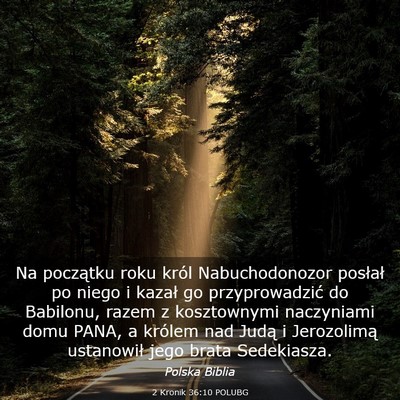 Picture 03 - 2 Kronik 36:10 POLUBG - Na początku roku król Nabuchodonozor posłał - Bible Verse Picture