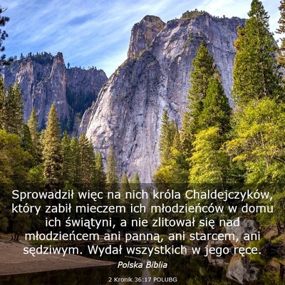 Picture 03 - 2 Kronik 36:17 POLUBG - Sprowadził więc na nich króla Chaldejczyków, - Bible Verse Picture
