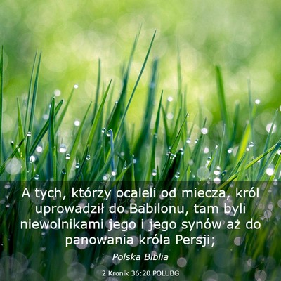 Picture 03 - 2 Kronik 36:20 POLUBG - A tych, którzy ocaleli od miecza, król - Bible Verse Picture