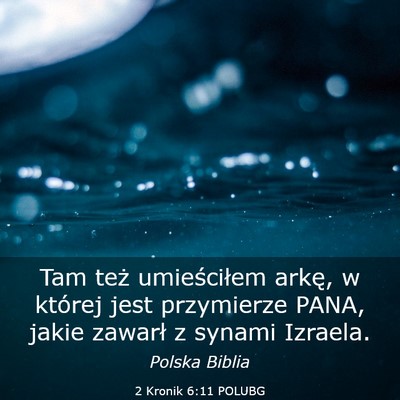 Picture 03 - 2 Kronik 6:11 POLUBG - Tam też umieściłem arkę, w której jest - Bible Verse Picture