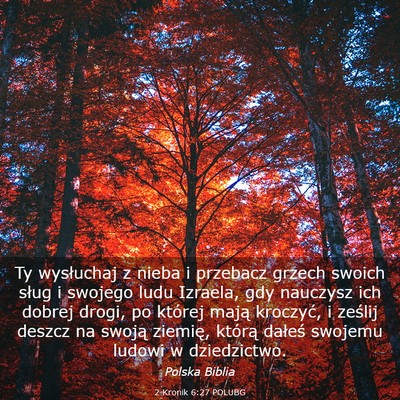 Picture 03 - 2 Kronik 6:27 POLUBG - Ty wysłuchaj z nieba i przebacz grzech swoich - Bible Verse Picture