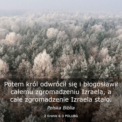 Picture 03 - 2 Kronik 6:3 POLUBG - Potem król odwrócił się i błogosławił - Bible Verse Picture